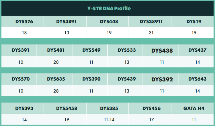 Y Chromosome Profile